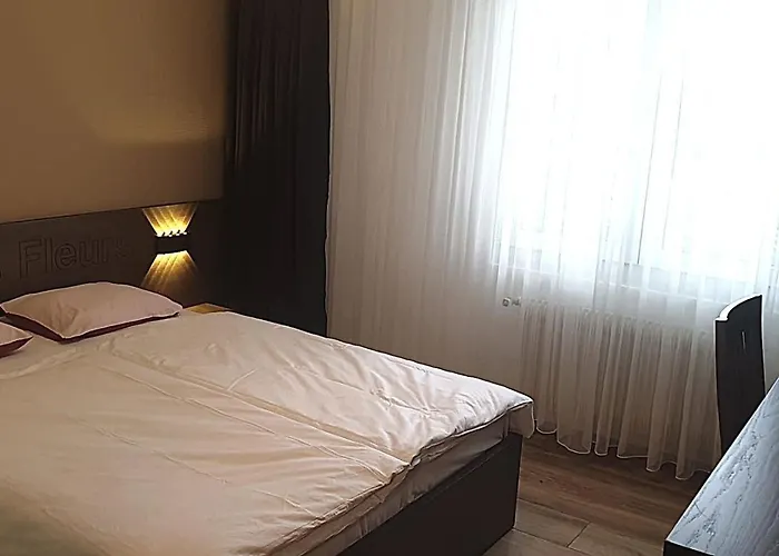 Motel Des Fleurs Servion