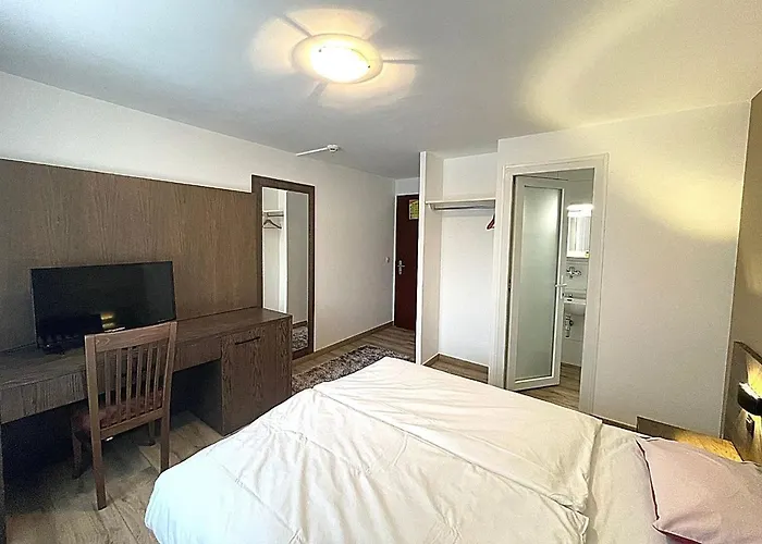 Motel Des Fleurs Servion